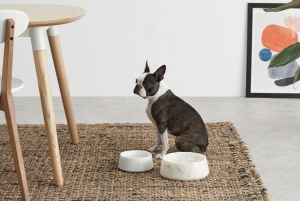 marble dog bowl